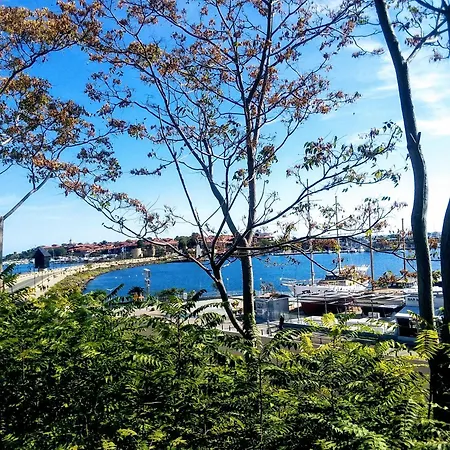 Vigo Nessebar